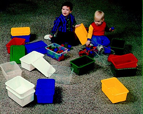 Websters Tote Tray 12 x 8 x 5 in. - White