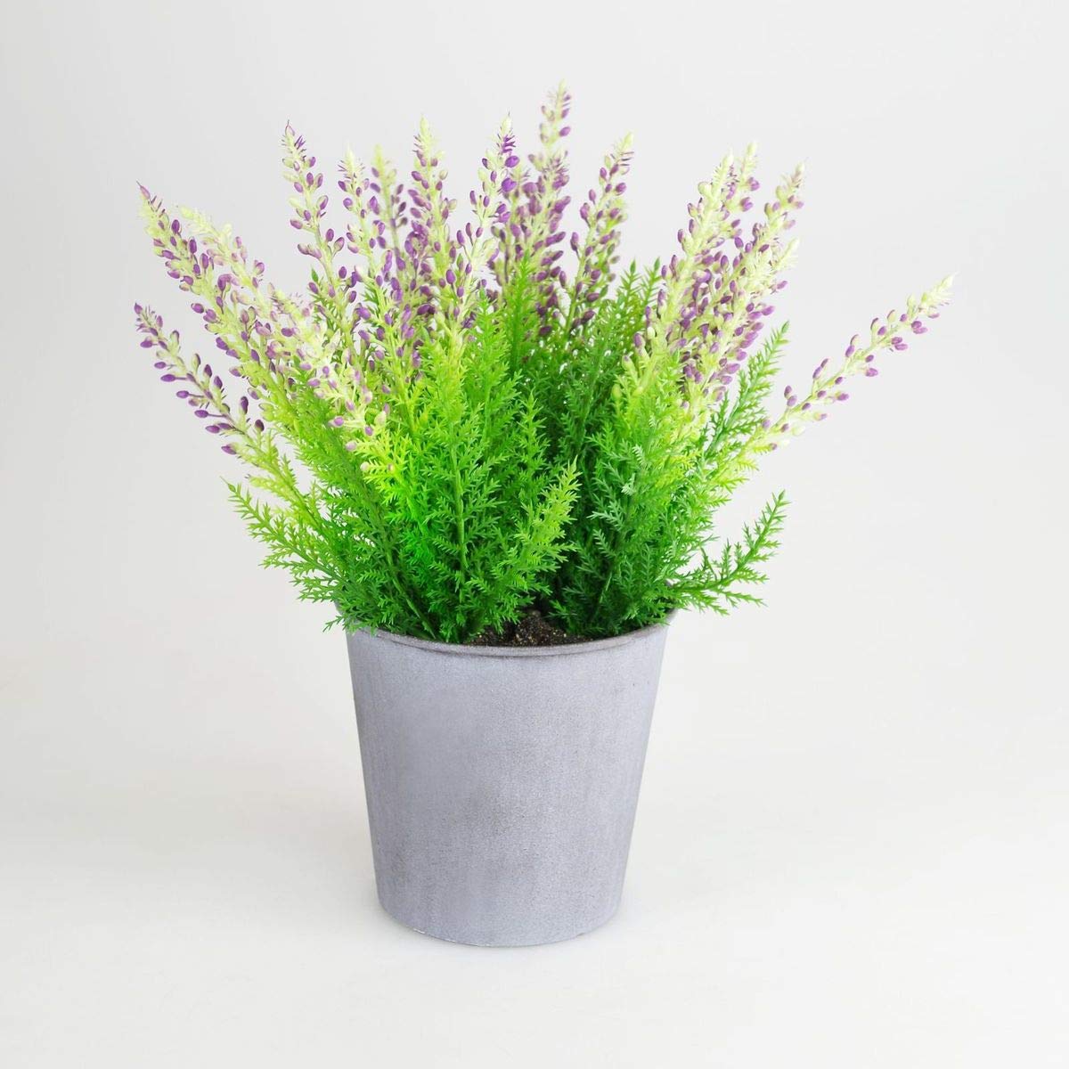 Amazon.de: Heidekraut knstliche Erika 31cm getopft Zinktopf versch. Farben  Dekopflanze, Farbe:lila