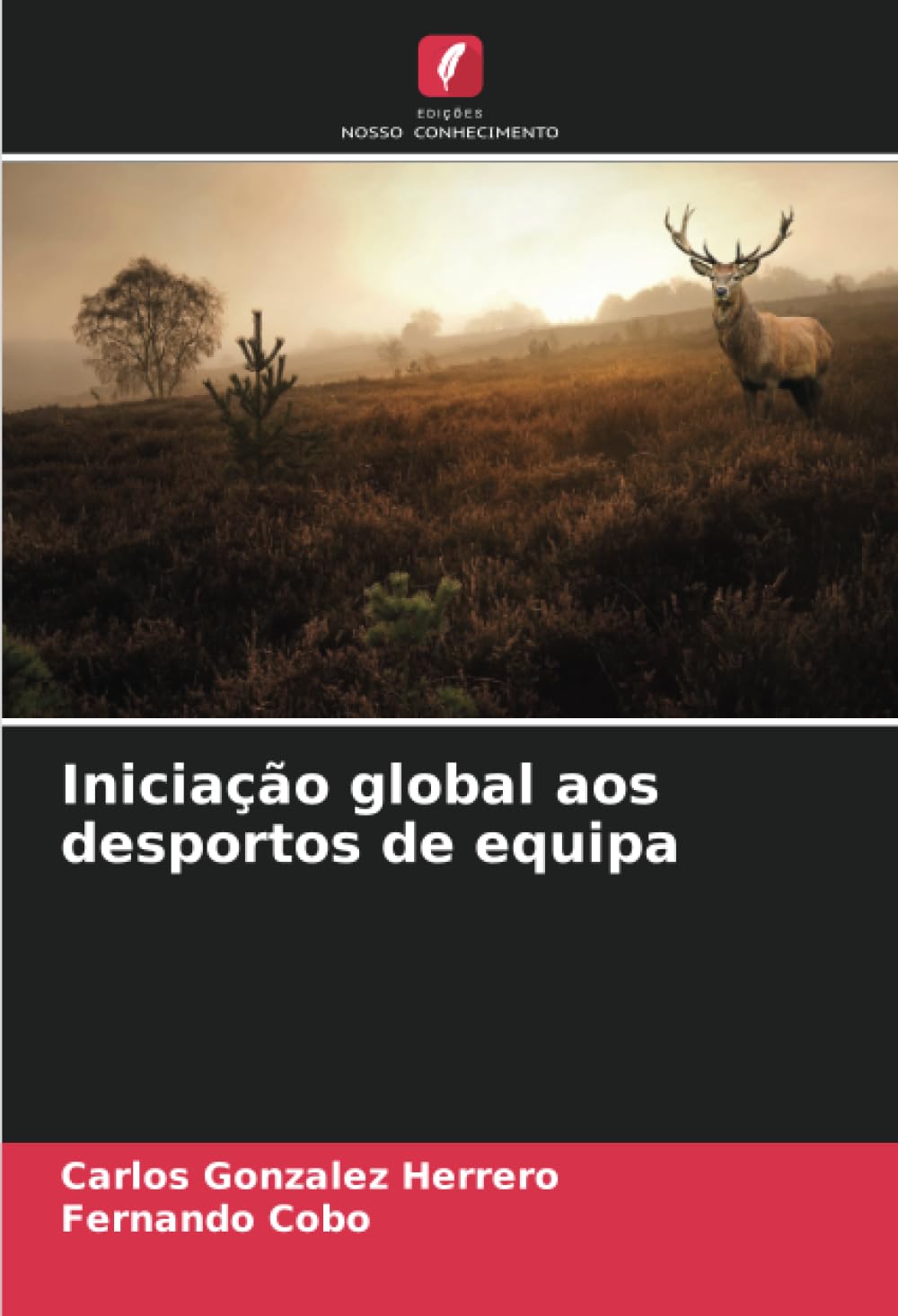 Iniciação global aos desportos de equipa