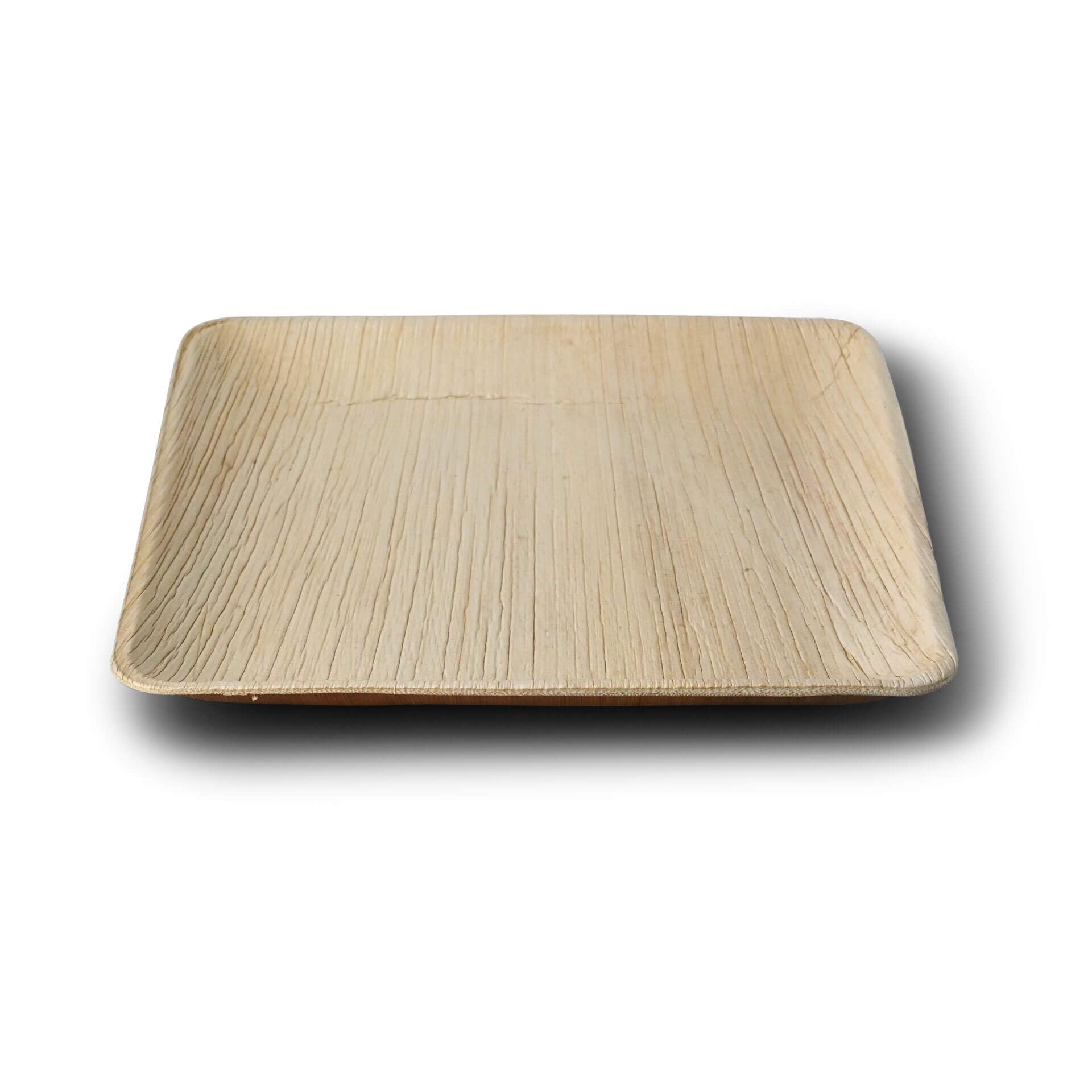 BIOZOYG Disposable Plates 25 Pack 6 Inch Square Palm Leaf Plates - Tableware Compostable Disposable - Alternative to Bamboo Plates - Party Tableware