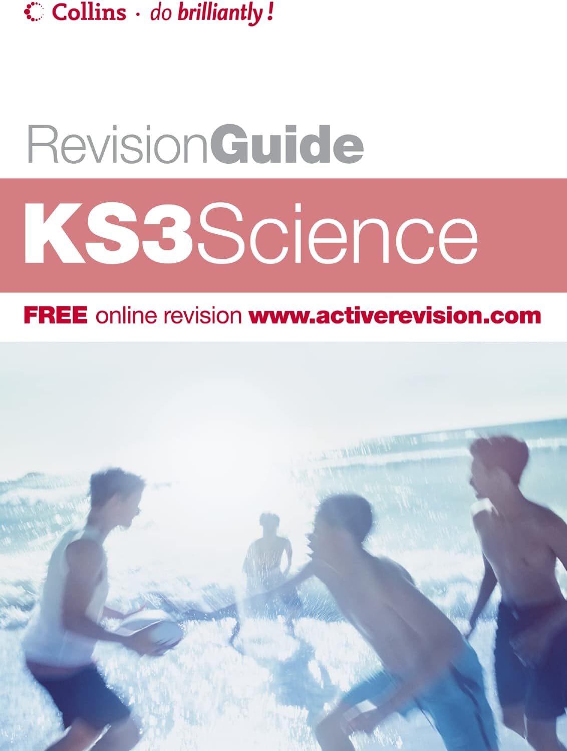 KS3 Science (Revision Guide)