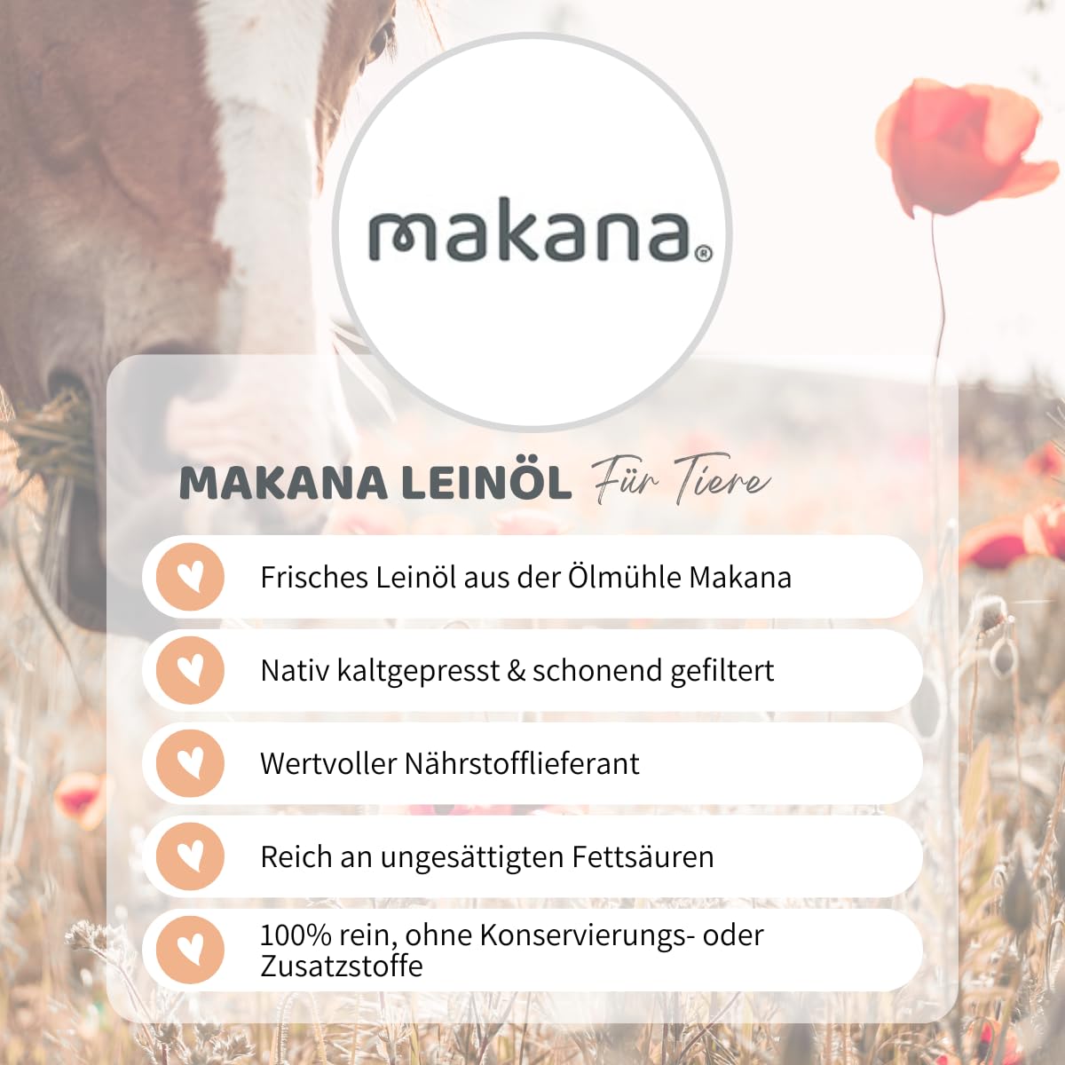 Makana Olio di Lino per Animali, spremuto a Freddo e Puro al 100%, tanica da 5000 ml
