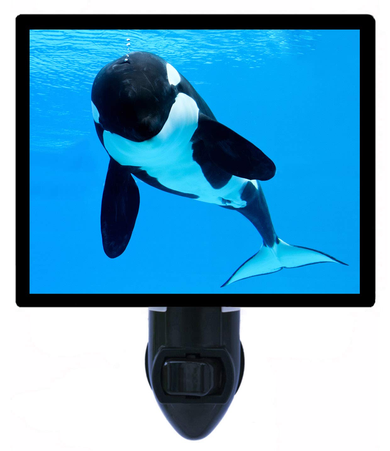 Killer Whale Decorative Night Light, Killer Whale Bubbles, Fish