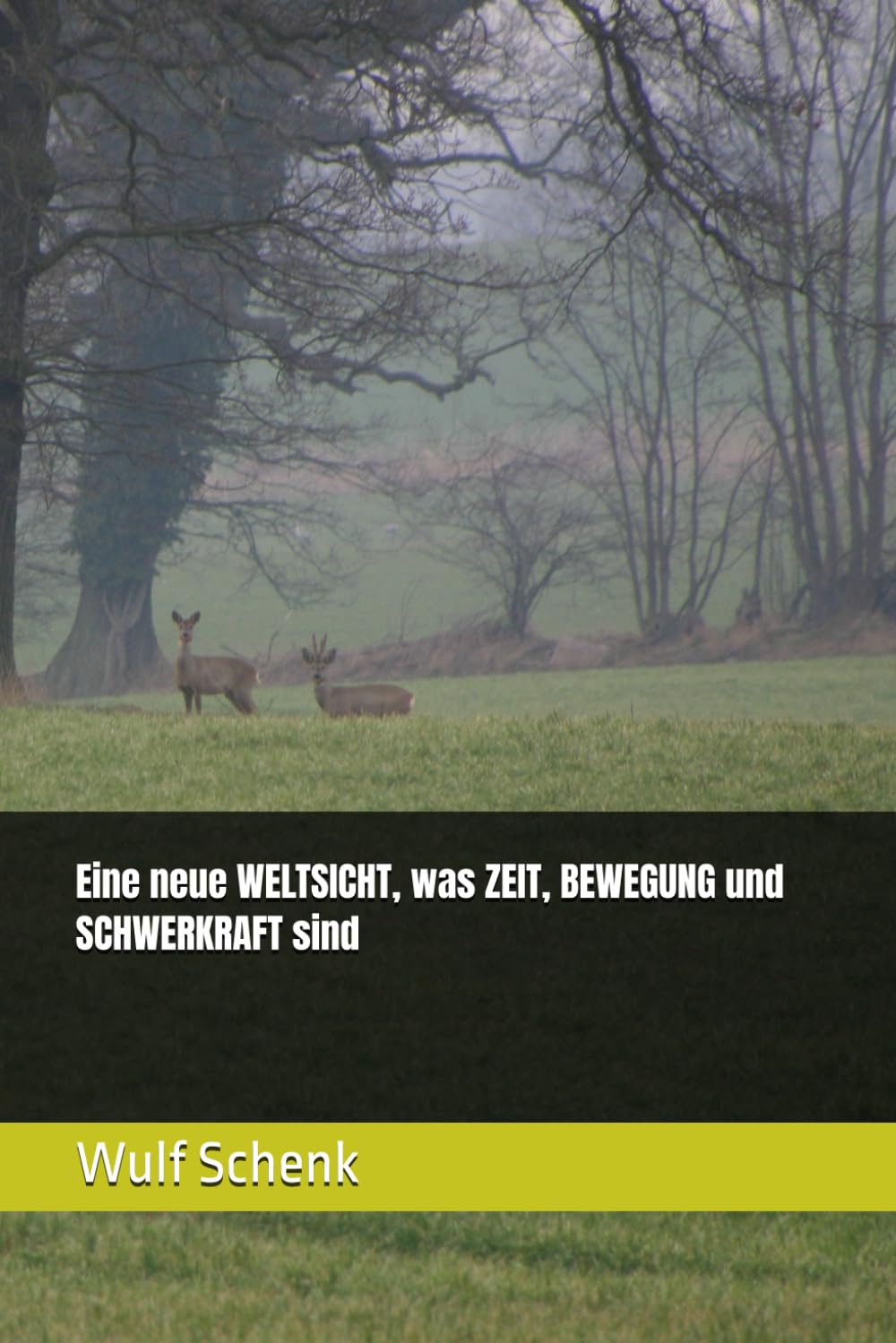 Eine neue WELTSICHT, was ZEIT, BEWEGUNG und SCHWERKRAFT sind
