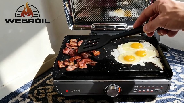 Amazon.com: GR101 Sizzle Grill Griddle Indoor for Ninja Smokeless