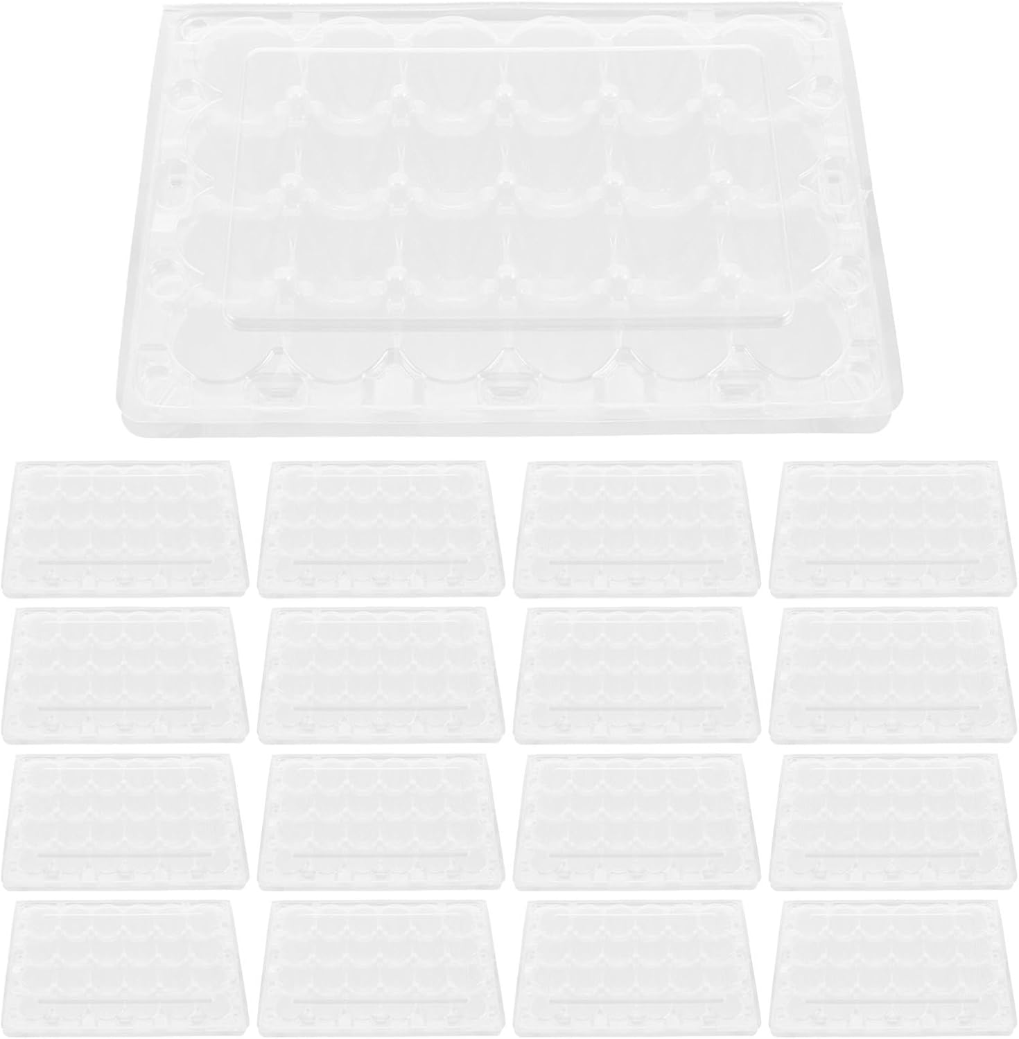 NUOBESTY Reusable Plastic Quail Egg Organizer Box with Display 50pcs Quail Egg Carton Flat Storage Containers for Pantry and Holidays
