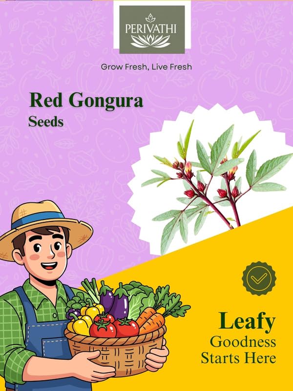Red Gongura /గోంగూర Vegetable seeds Pack of 50 Seeds for Home & kitchen garden-image-39
