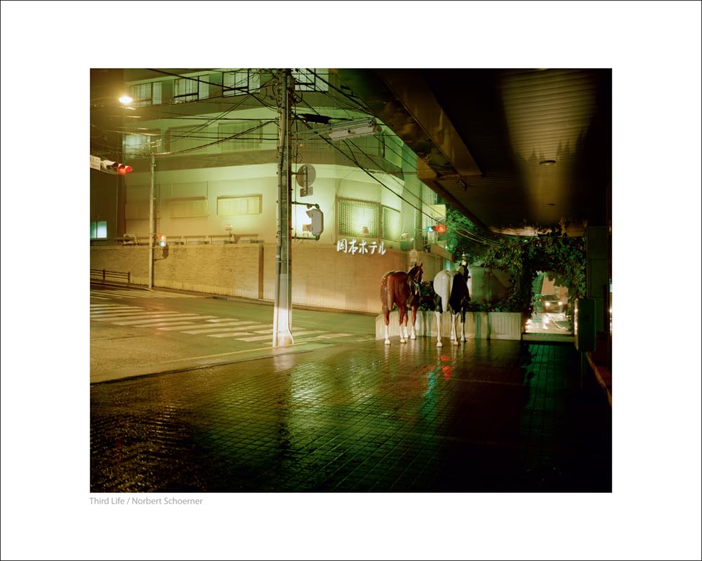 Third Life ノバート・ショルナー グランド シティ プラットフォーム オックスフォード womens