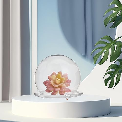 Miniatura 6 de CHGCRAFT Cubierta de cúpula de cristal de forma redonda, terrario con base de vidrio, vitrina decorativa para plantas de flores eternas, kits de
