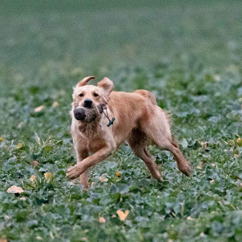 Firedog Dummy mit echtem Kaninchenfell - Robustes Wild-Apportel mit 250g Gewicht (auch für Welpen geeignet)