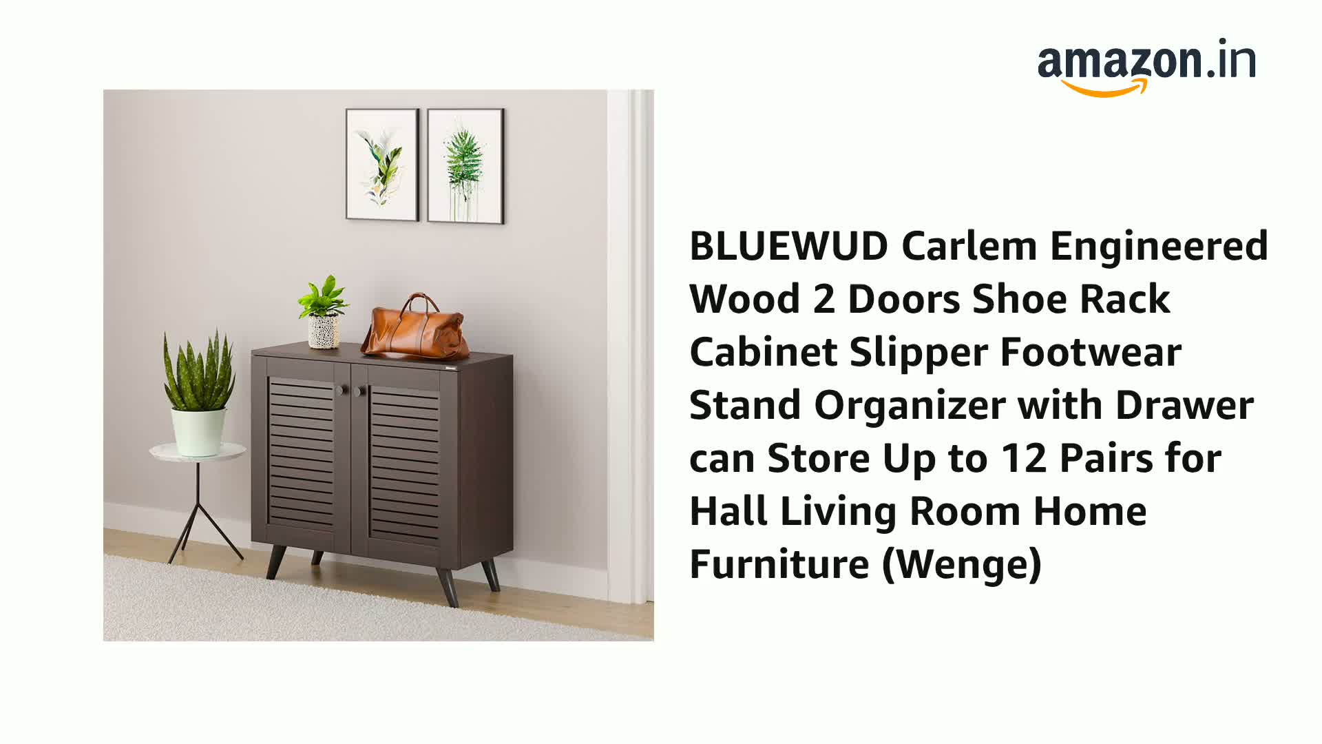 BLUEWUD Carlem Engineered Wood 2 Doors Shoe Rack Cabinet Slipper