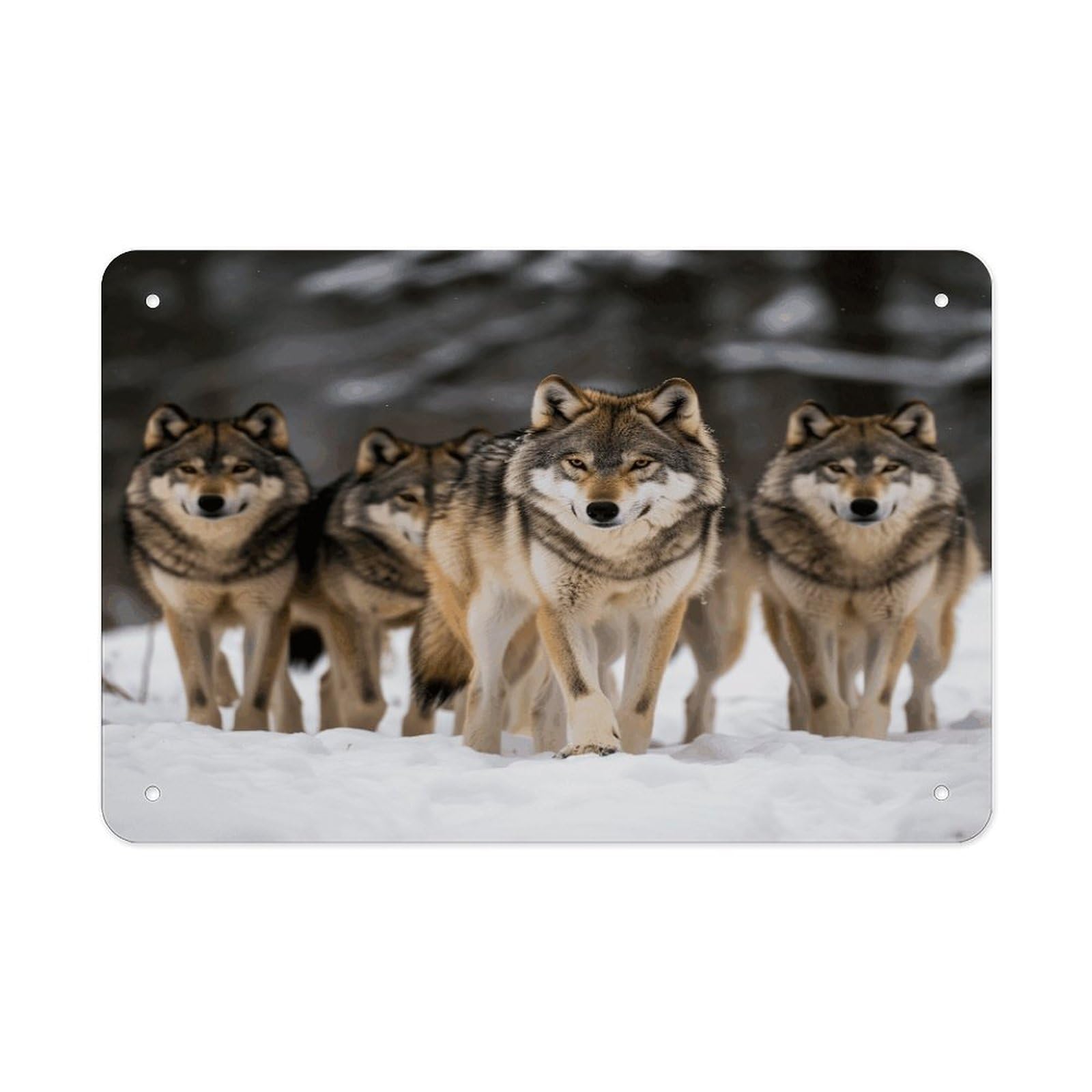 Pack of Wolves Metal Tin Sign 12"x8" Wall Art Prints Poster Decorative Picture Metal Signboard Decor Painting Folded Edge Iron Sheet Painting with Holes for Wall Decor