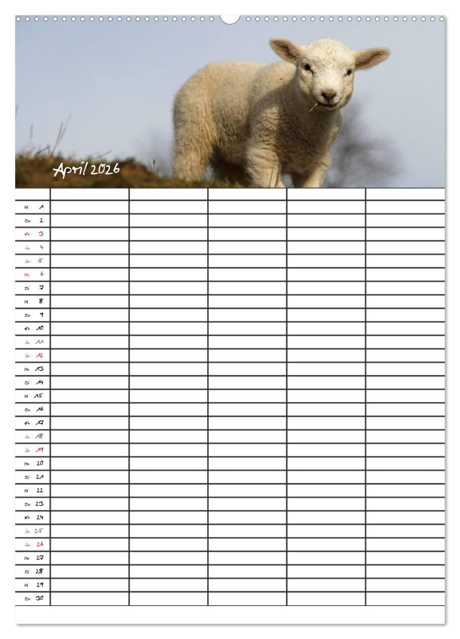 Familienplaner - Sylt (Wandkalender 2026 DIN A2 hoch), CALVENDO Monatskalender: Der Sylt-Kalender für die ganze Familie (CALVENDO Orte)
