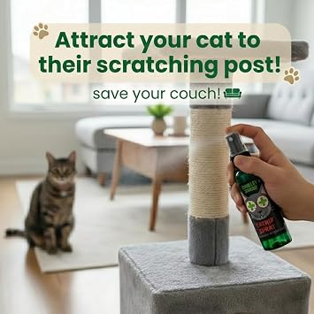 Smokey's Stash Catnip Spray and Dried Catnip Bundle for Cats - 2oz Catnip Spray and Premium Pop-Top Can, Handcrafted in the USA
