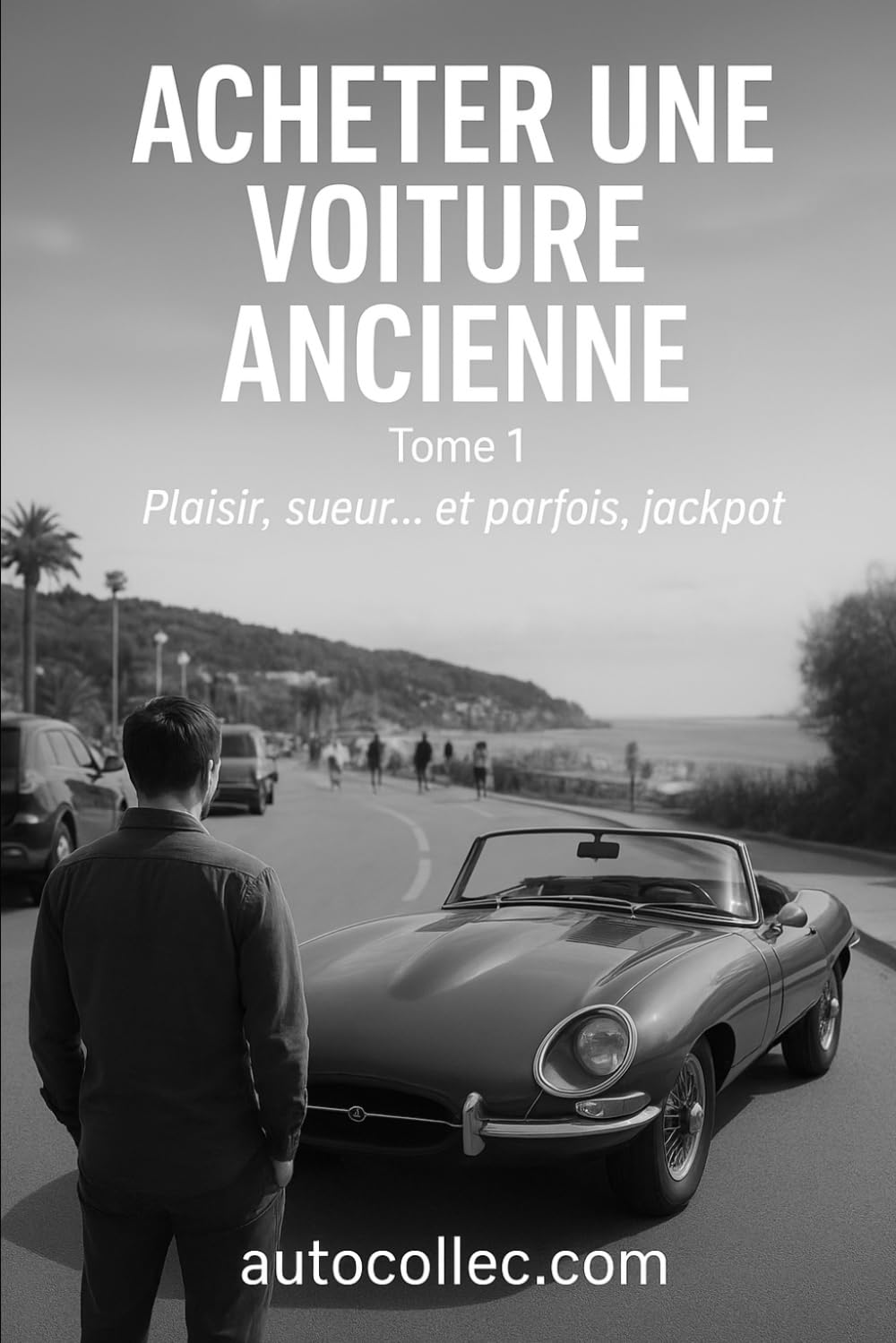 Acheter une voiture ancienne: Tome 1 - Plaisir, Sueur ... et parfois, jackpot