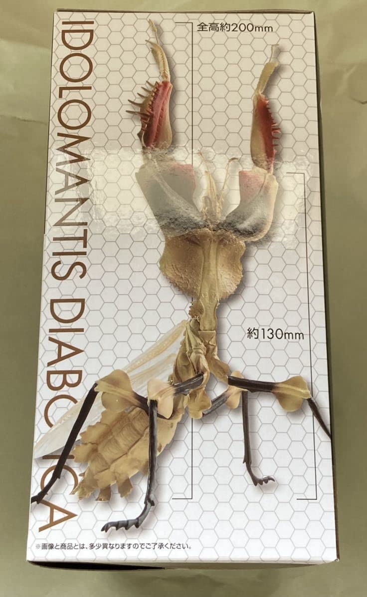 一番くじ昆虫　B賞　D賞　ニセハナマオウカマキリ ラストワン賞 褐色期 一番くじ昆虫 B賞 D賞 ニセハナマオウカマキリ ラストワン賞 褐色期