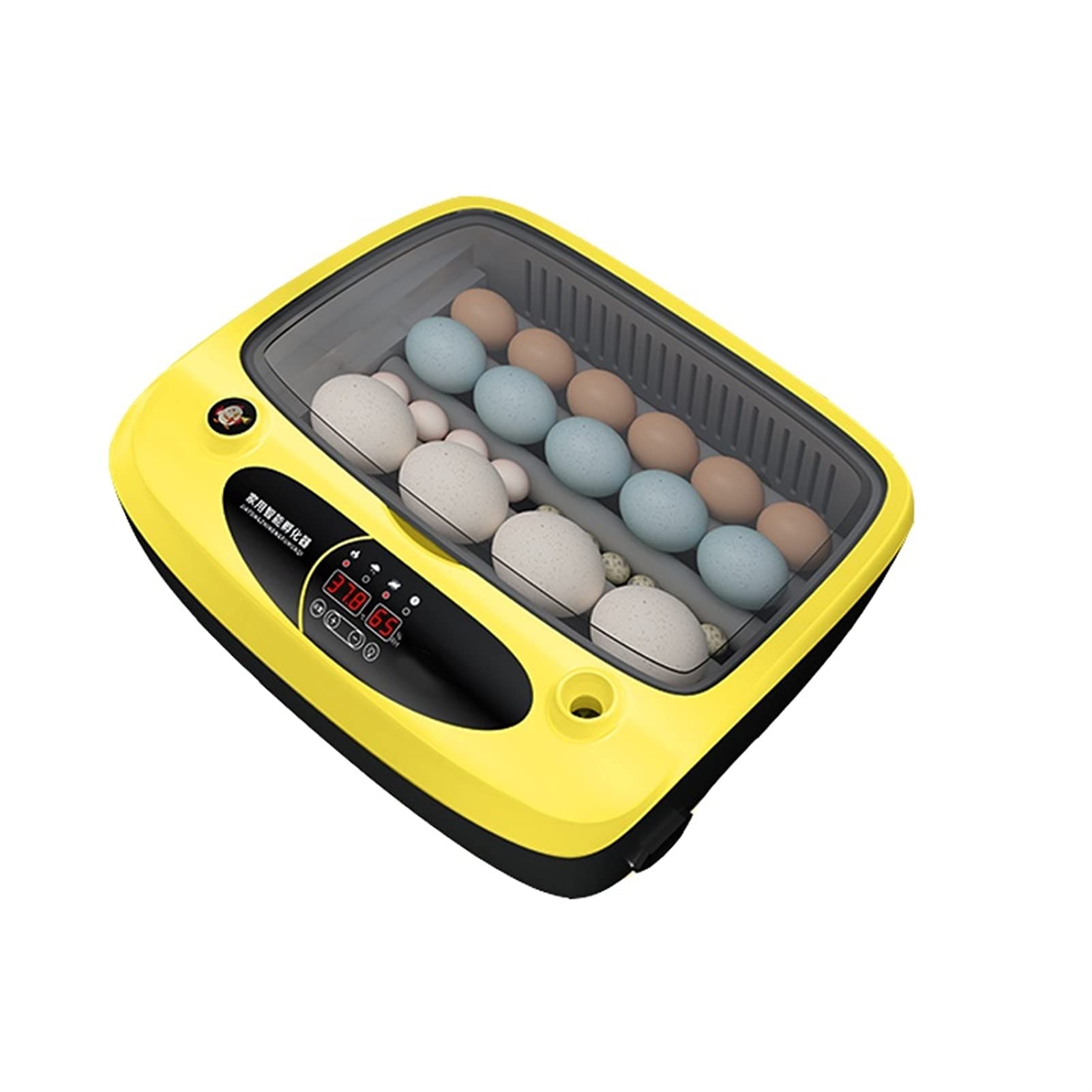 Buy Egg Incubator Incubators for Hatching Eggs 2436 Eggs Digital