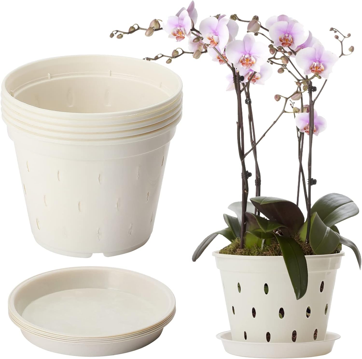 DADEA Paquete de 5 macetas para orquídeas, maceta de orquídea de 5.6 pulgadas con agujeros de drenaje y platillos, macetas de orquídeas de plástico transparente para trasplantar, macetas de jardín