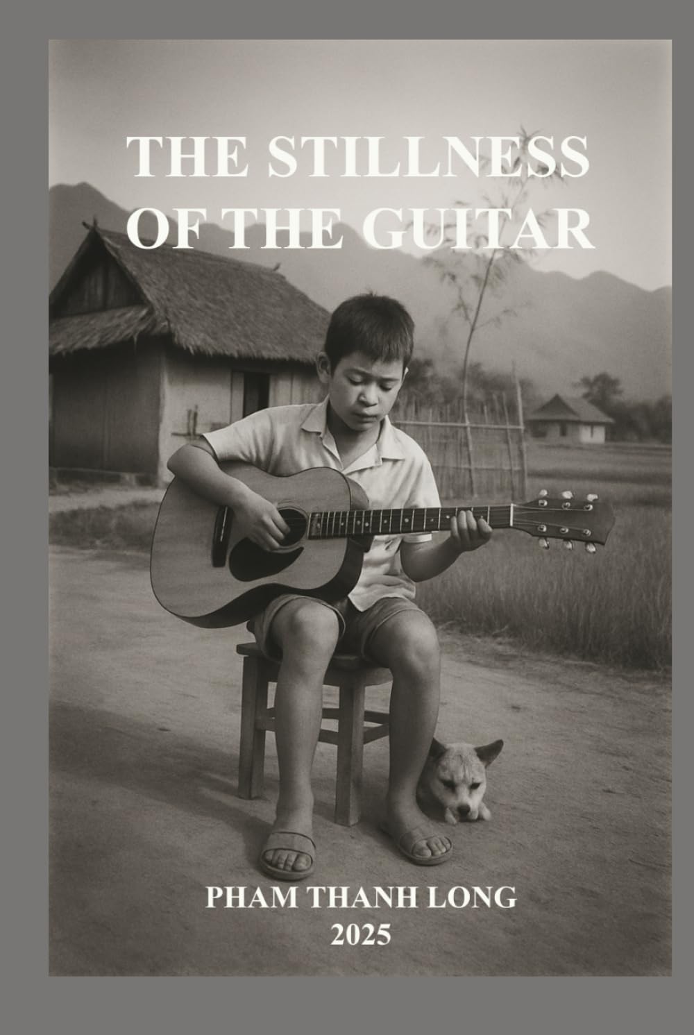 THE STILLNESS OF THE GUITAR (CTDNA Project)