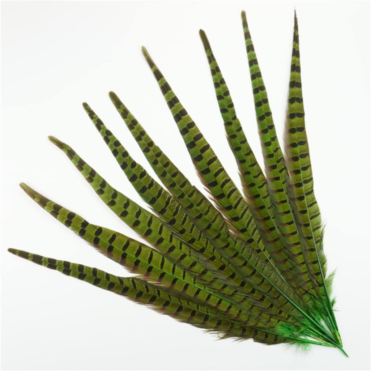 pióra soarer, Pióra z ogona bażanta 40-45 cm, wielokolorowe, opakowanie 10 sztuk(Green,100Pcs)