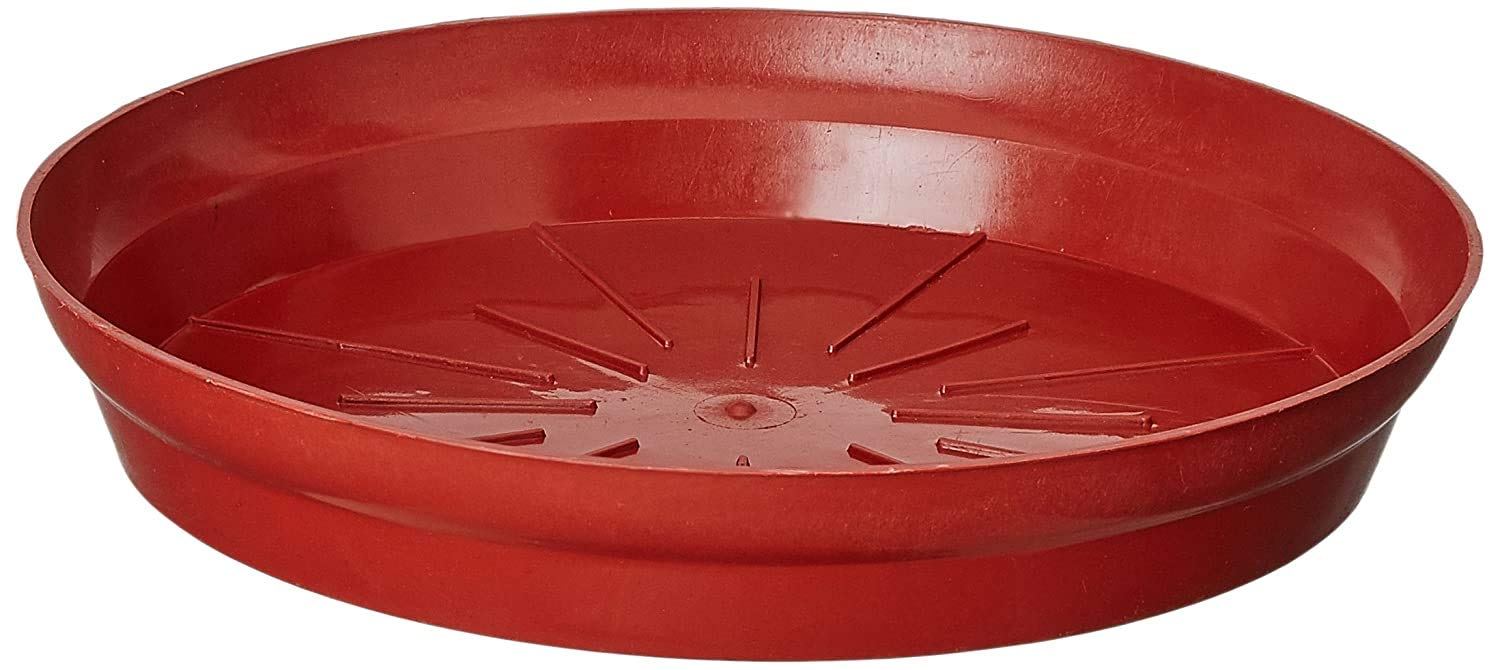 PlantaZee Flower Pot Plant Saucer Base Plate Tray, 11 inch - Set of 6 (B08DJ46VRL) Amazon Price History, Amazon Price Tracker