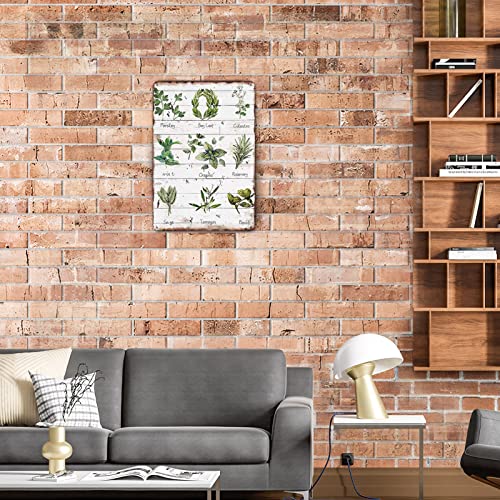 Metal Tin Sign Vintage Herbs Botanical Themed For Home, Kitchen, Living Room, Garden, Bedroom, Office, Hotel, Cafe And Pub Wall Decor 12X8 Inches #TOP6