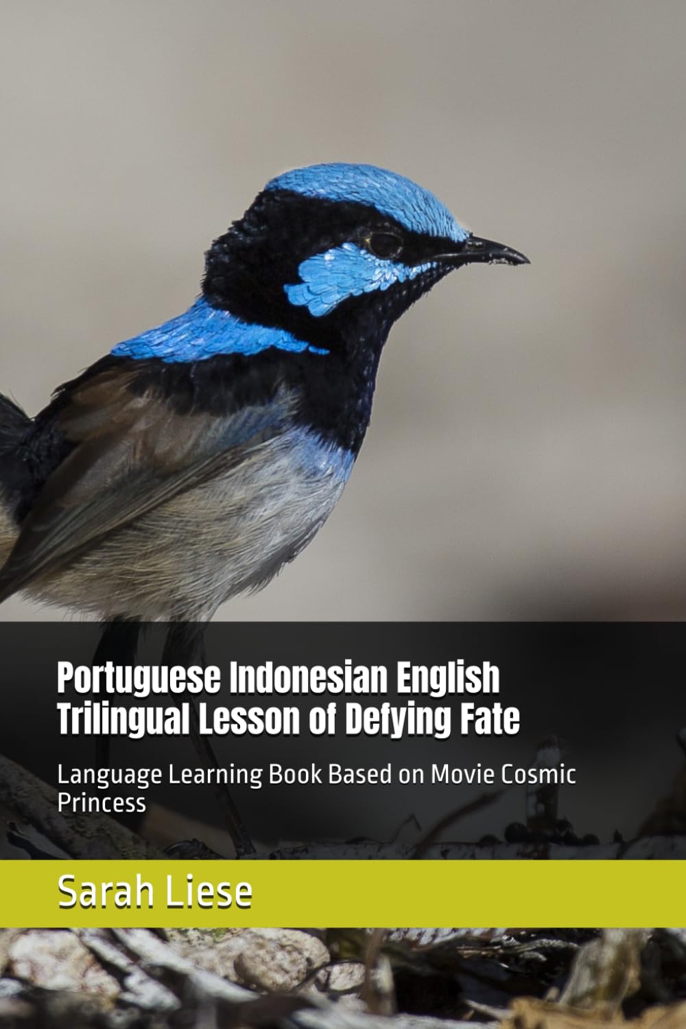 Portuguese Indonesian English Trilingual Lesson of Defying Fate: Language Learning Book Based on Movie Cosmic Princess