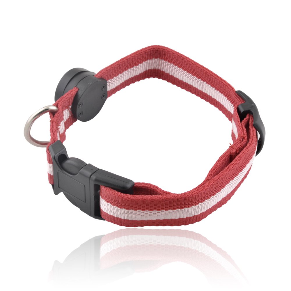 Flashing LED Pet Collar