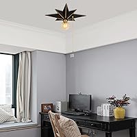 Vista 5 de Lámpara de techo de montaje al ras de 16 pulgadas con interruptor de cadena de tirar para encendido/apagado, luminarias de techo industriales