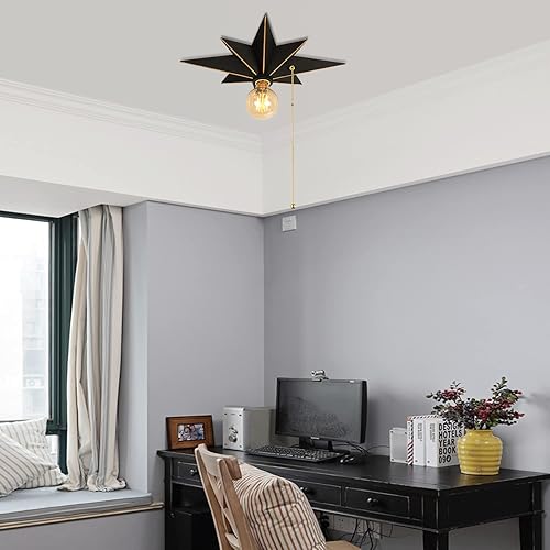 Miniatura 5 de Lámpara de techo de montaje al ras de 16 pulgadas con interruptor de cadena de tirar para encendidoapagado, luminarias de techo industriales de