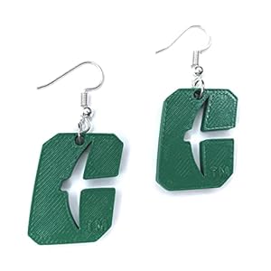Charlotte 49ers 3D printed EARRINGS