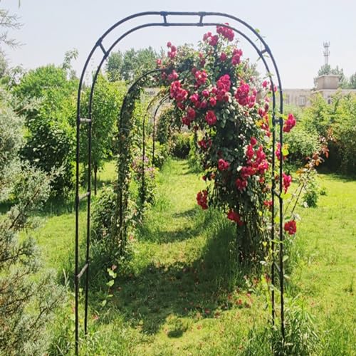 Arche de jardin en métal robuste pour corriger les allées trop larges - 3