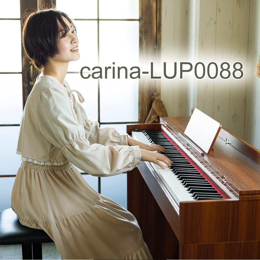 Carina 88鍵盤 電子ピアノ LF-0088（ブラック） 電子ピアノ - 最安値