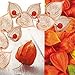 Produktbild Motivserviette Herbst Lampionblumen