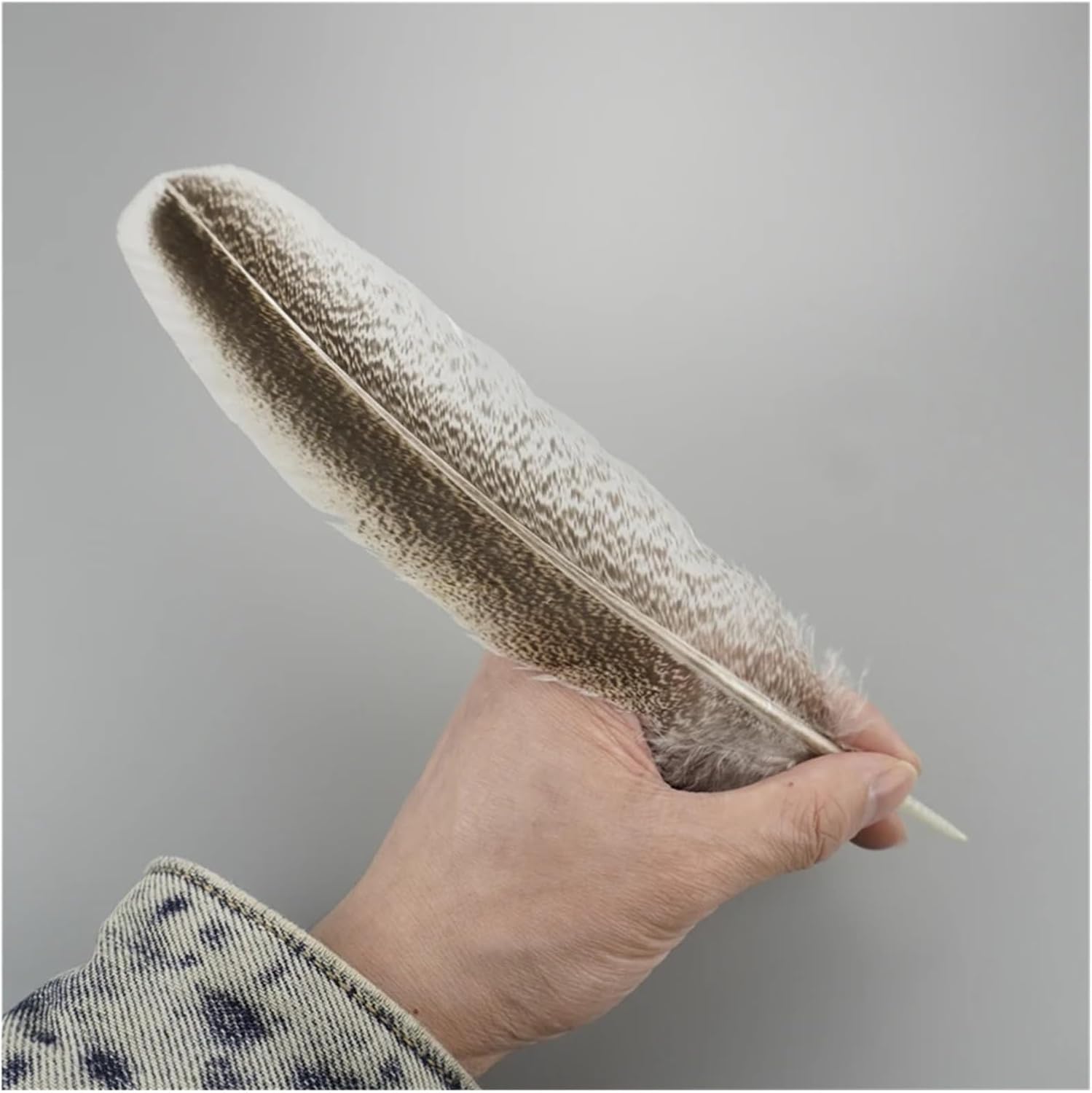 七面鳥の羽 20～25cm/8～10インチ 天然羽根 クラフトアクセサリー お祭り飾り DIY テーブルセンターピース