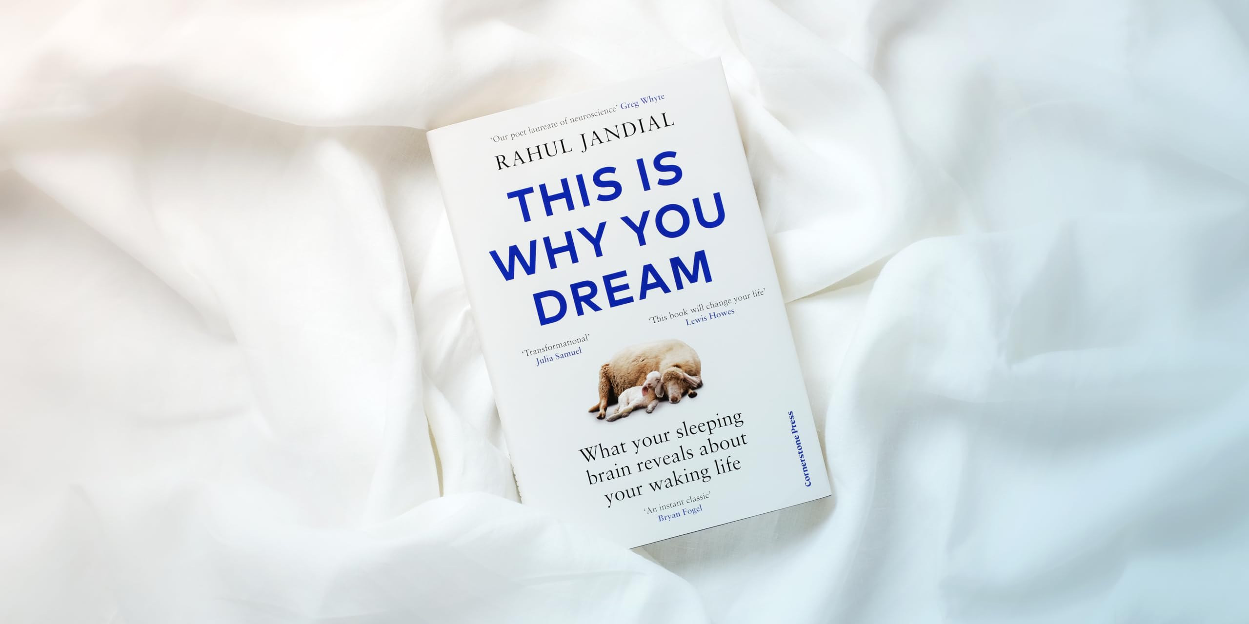 This Is Why You Dream: What your sleeping brain reveals about your waking life