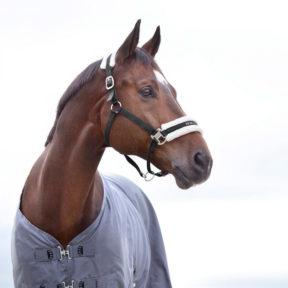 HORZE Pferde Halfter Howard aus Fleece, Halfter für Pferde und Pony, verstellbar, Schwarz, P