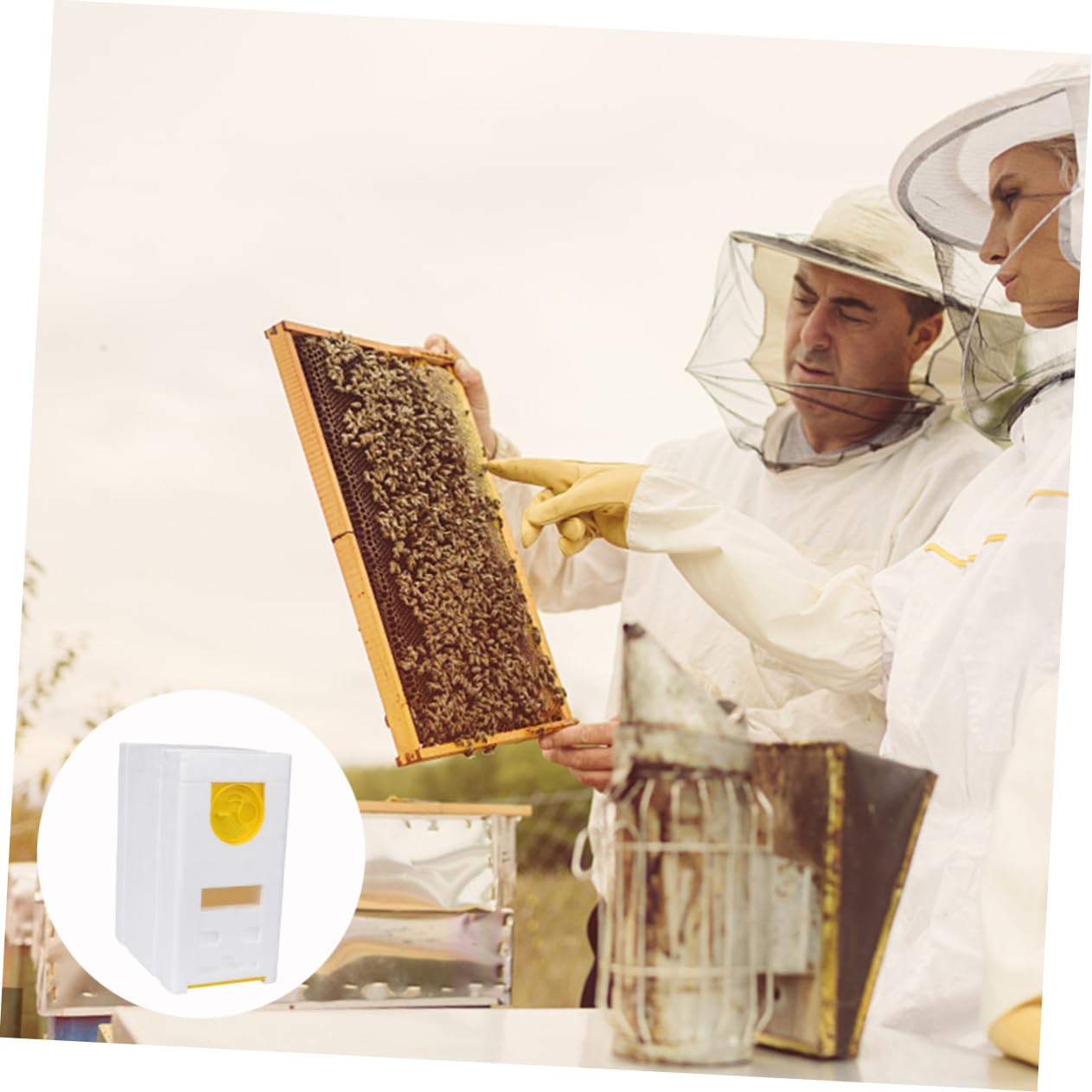 TOYANDONA Bienenwerkzeug Für Bienenzucht Bienenkasten Aus Sicherem Material Bienenbegattungskasten Zum Einfachen Gebrauch Bienenstockkasten Als Praktisches Zubehör Für Bienenzucht