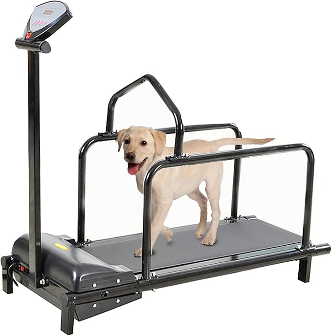 Tapis roulant per cani di taglia grande, tapis roulant per cani, tapis roulant per cani di taglia media, macchina da corsa per cani di piccola e media taglia, tapis roulant interno