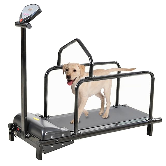 AMORPO Cinta de Correr para Perros, Cinta de Correr para Perros Grandes autopropulsada