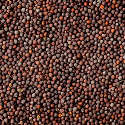 Image of Aashirvaad Mustard 100g