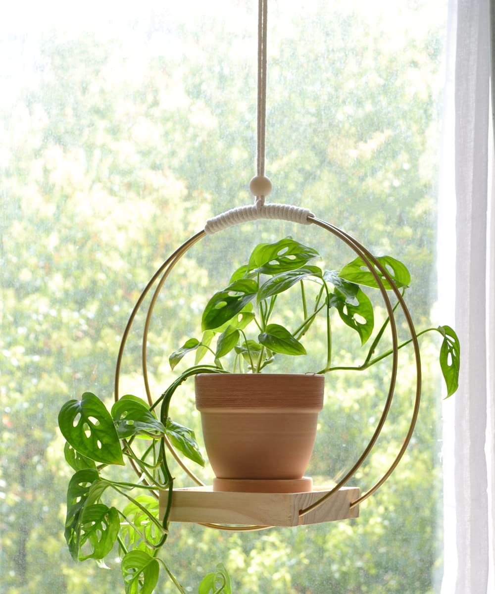 Dulynva - 2 Suspensions Pour Plantes Intérieures Avec Base En Bois, Corde Coton 80 Cm - Pour Déco Salon, Cuisine, Bureau