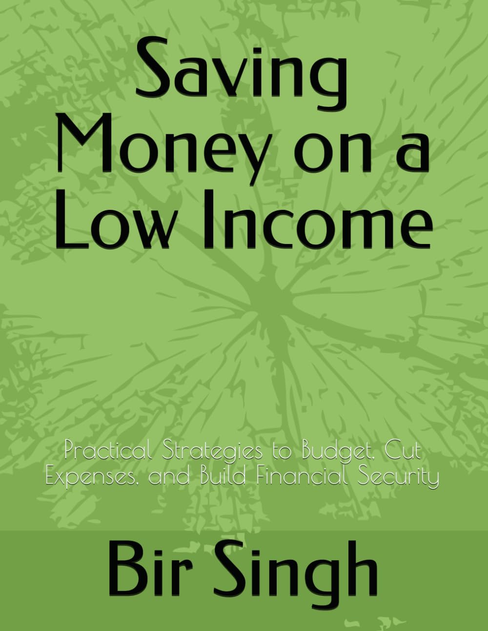 Saving Money on a Low Income: Practical Strategies to Budget, Cut Expenses, and Build Financial Security