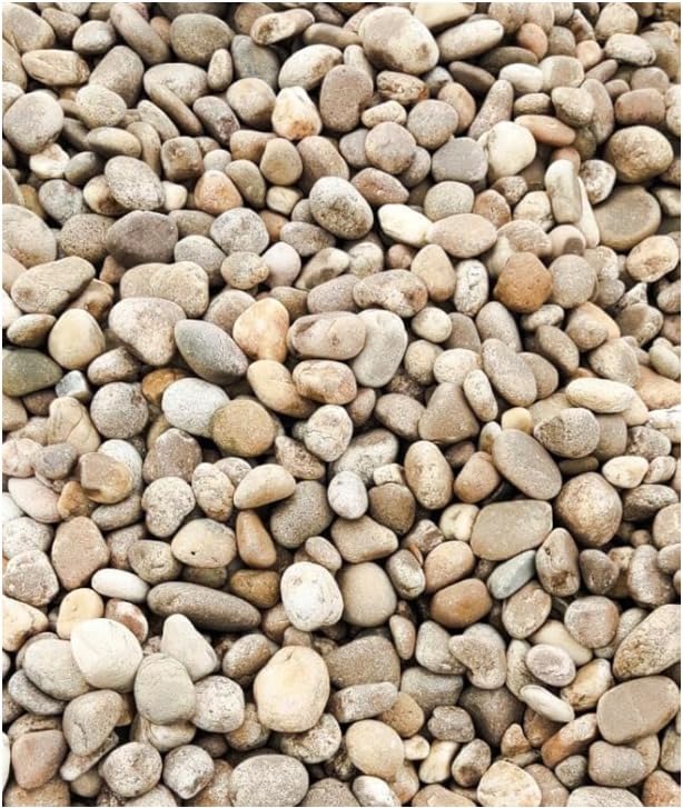 KASHLIWAL Stone Unpolished Mix Colour River Pebbles for Garden and Landscape and Pots Medium Size 2Kg (B0DFGW14GT) Amazon Price History, Amazon Price Tracker