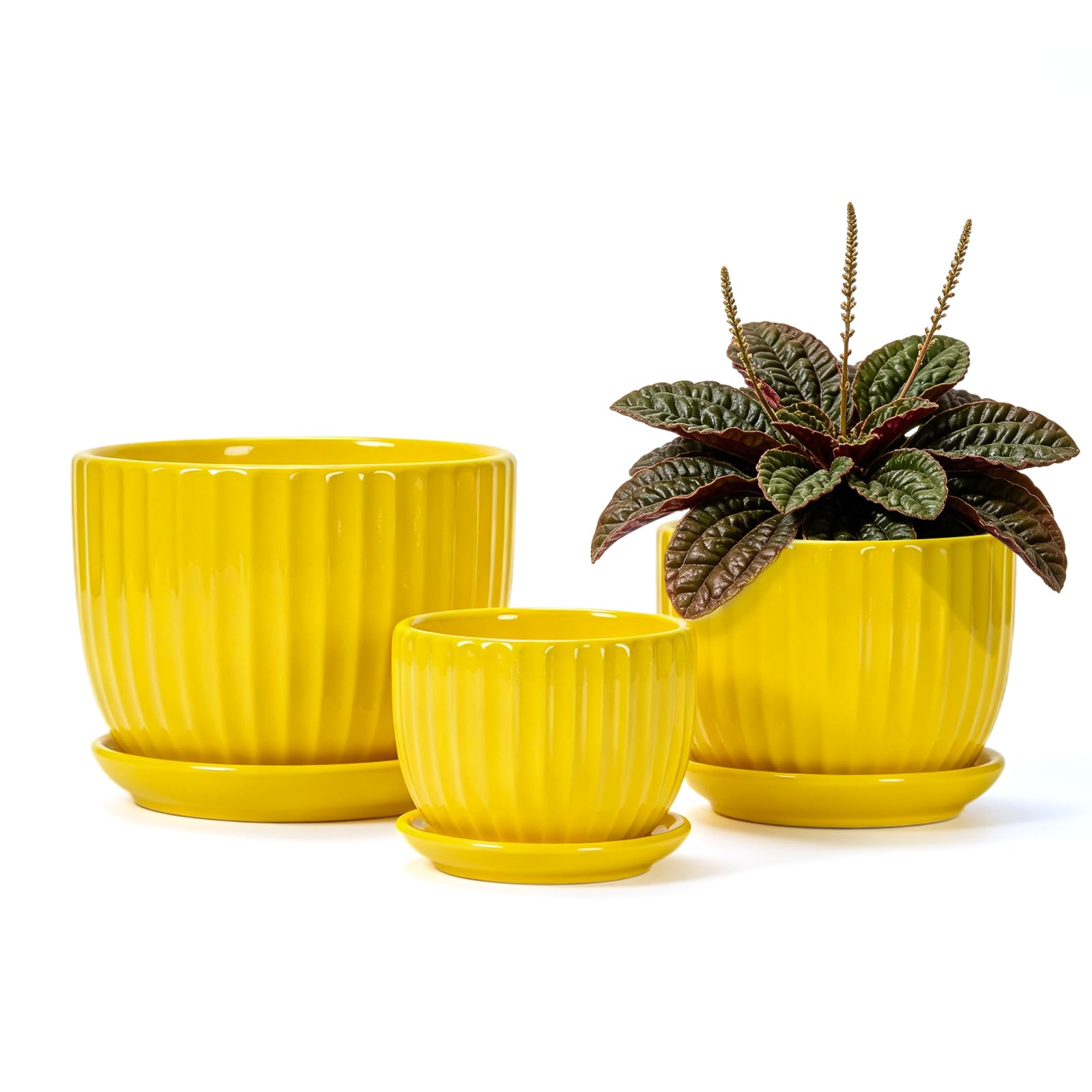 Amazon.com: Ceramic Planters,Yellow Plant Pots with Drainage Holes