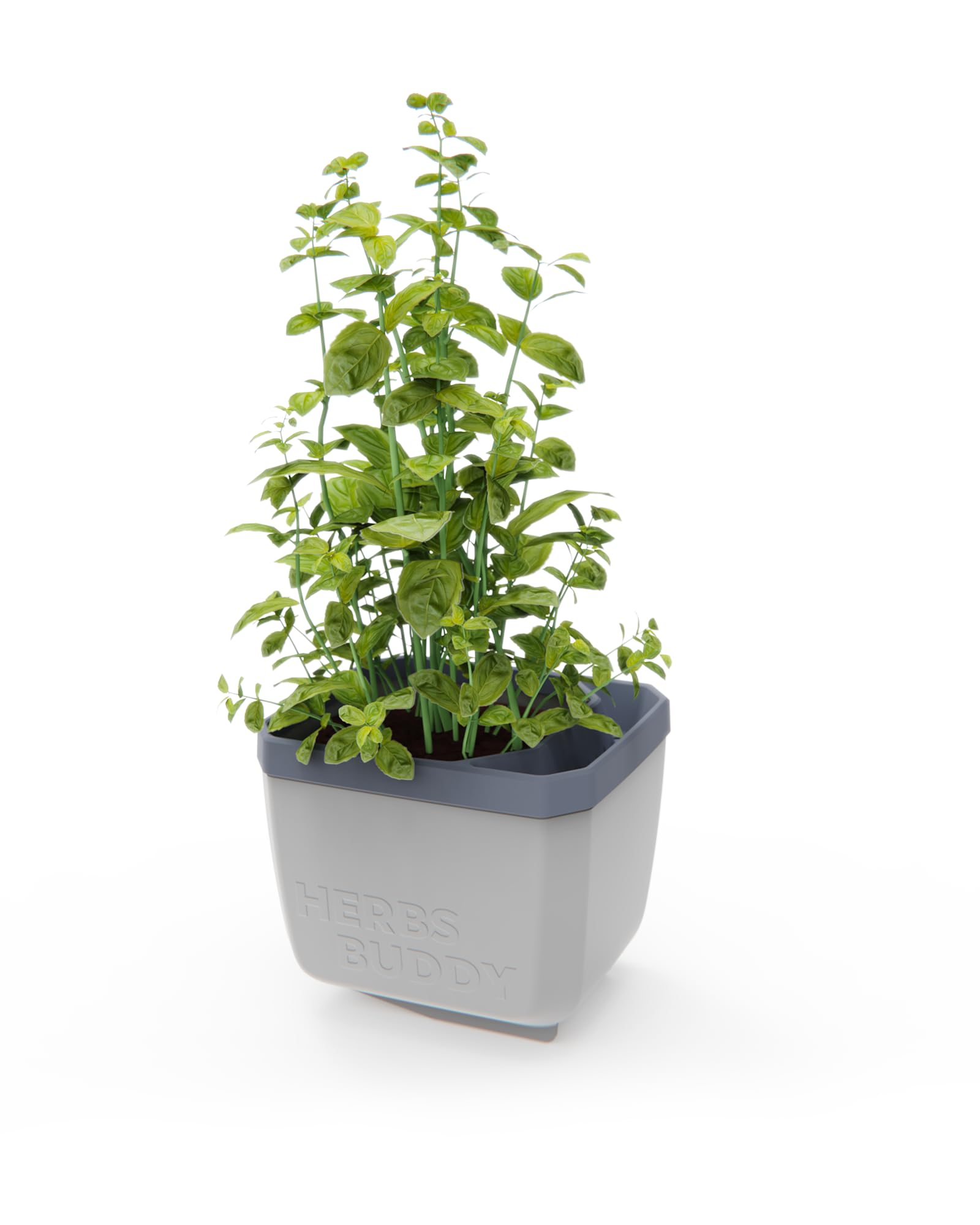 Gusta Garden Light/Grey Herbs Buddy Herb Pot With Water Reservoir - 1 Pc