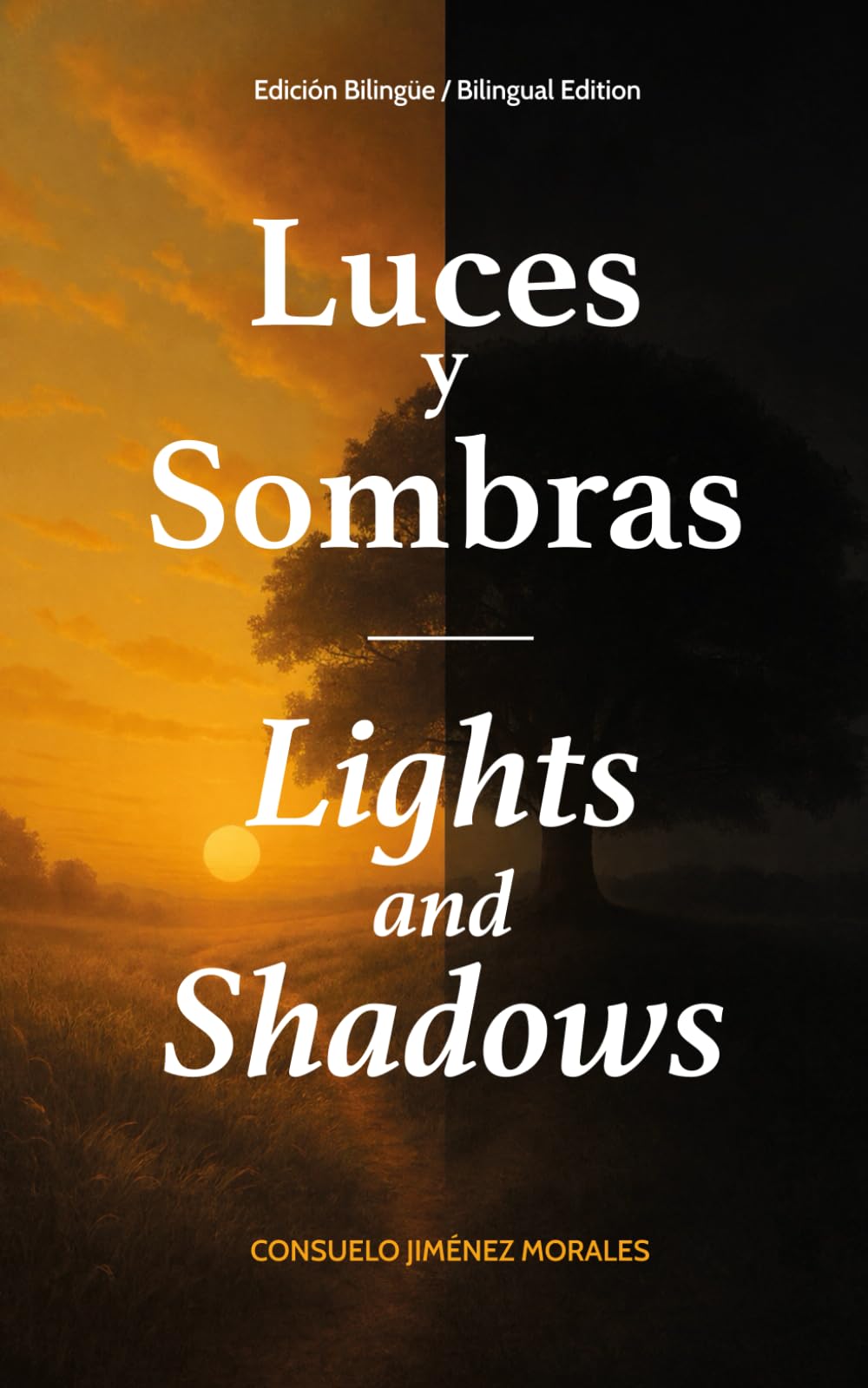 Luces y sombras / Lights and shadows: Edición bilingüe / Bilingual Edition