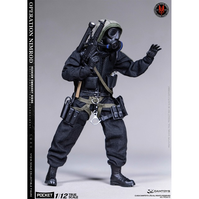 Amazon.co.jp: HiPlay DAMTOYS 1/12 イギリス特殊空挺部隊 SAS CRW