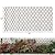 Garden Land Willow Expandable Plant Climbing Lattices Trellis Fence Support 36x92 Inch