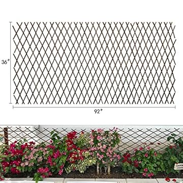 trellis using cattle panels